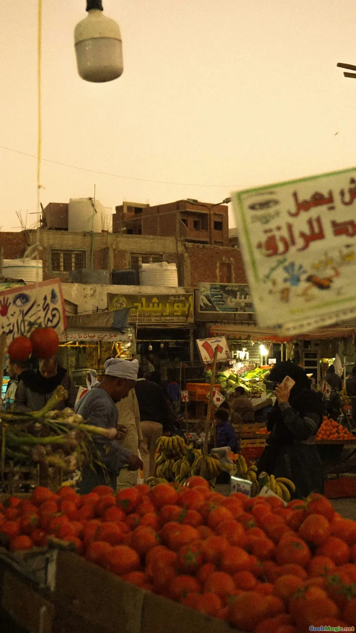 Alexandria, Upper Egypt, street food, variations