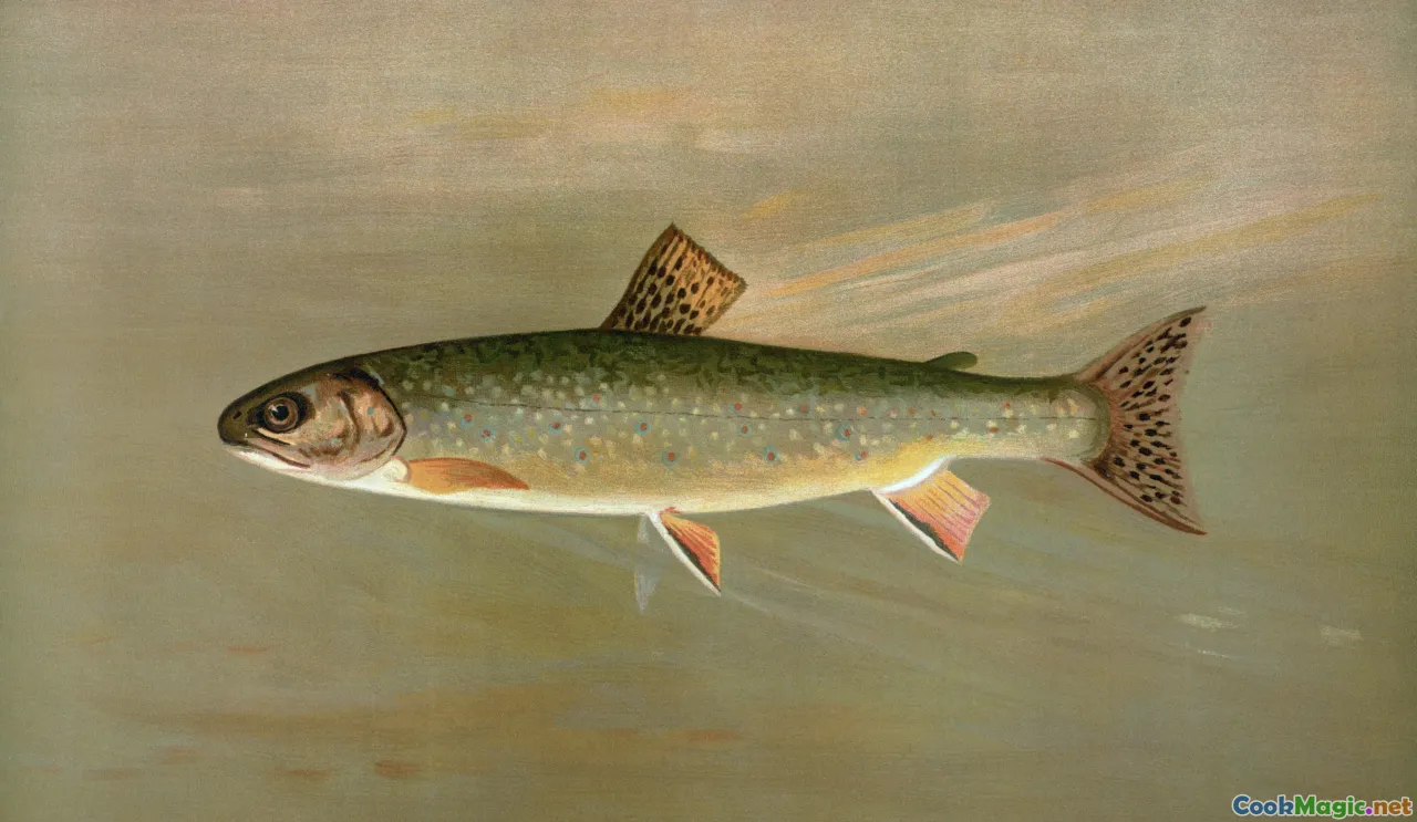 arepas, bandeja paisa, yuca, trout