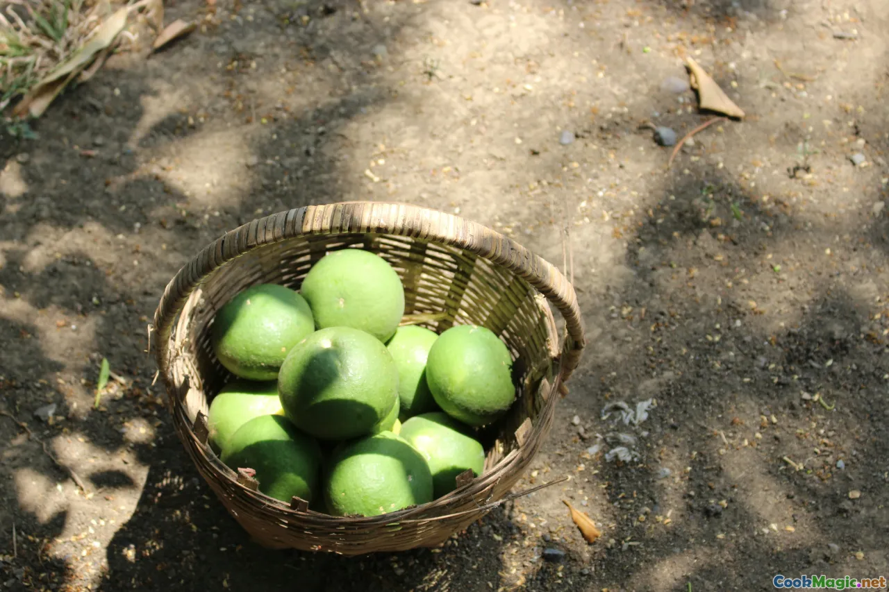 betel nut, lime mixture, chewing tradition