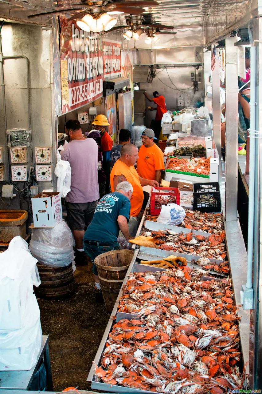 bustling fish market, local seafood display, coastal market scene