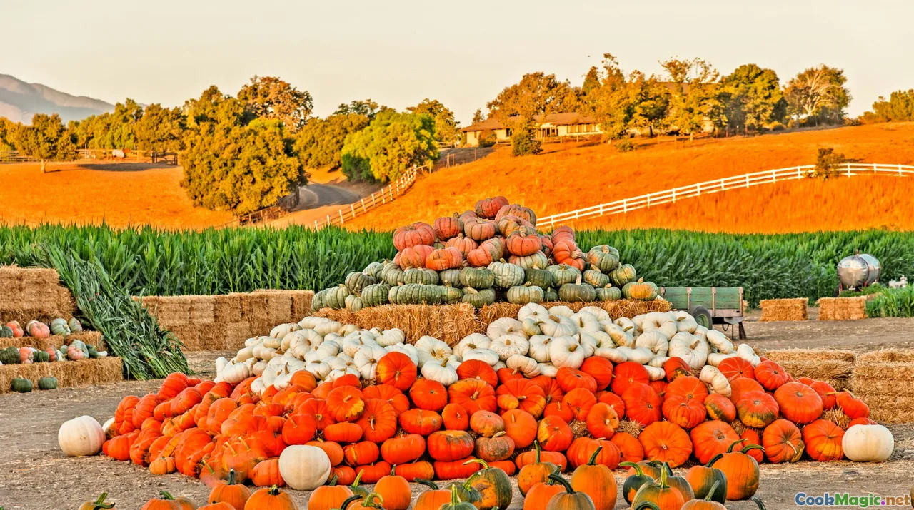 Cuisine californienne et le mouvement de la ferme à la table