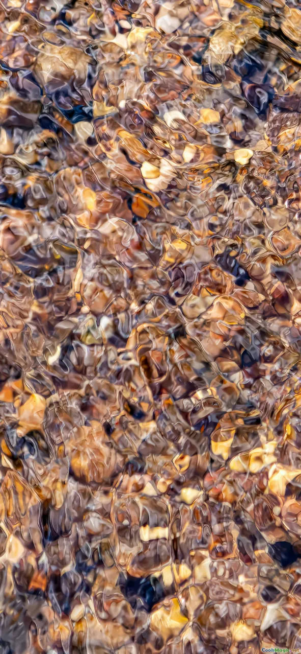 caravels, bay leaves, spice jars, ocean