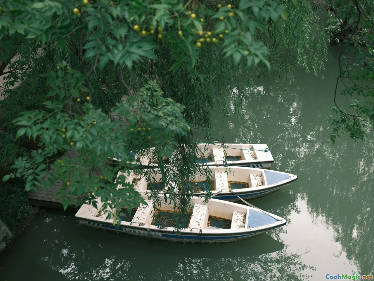 castanheiros, baskets of nuts, river boat, cooperative