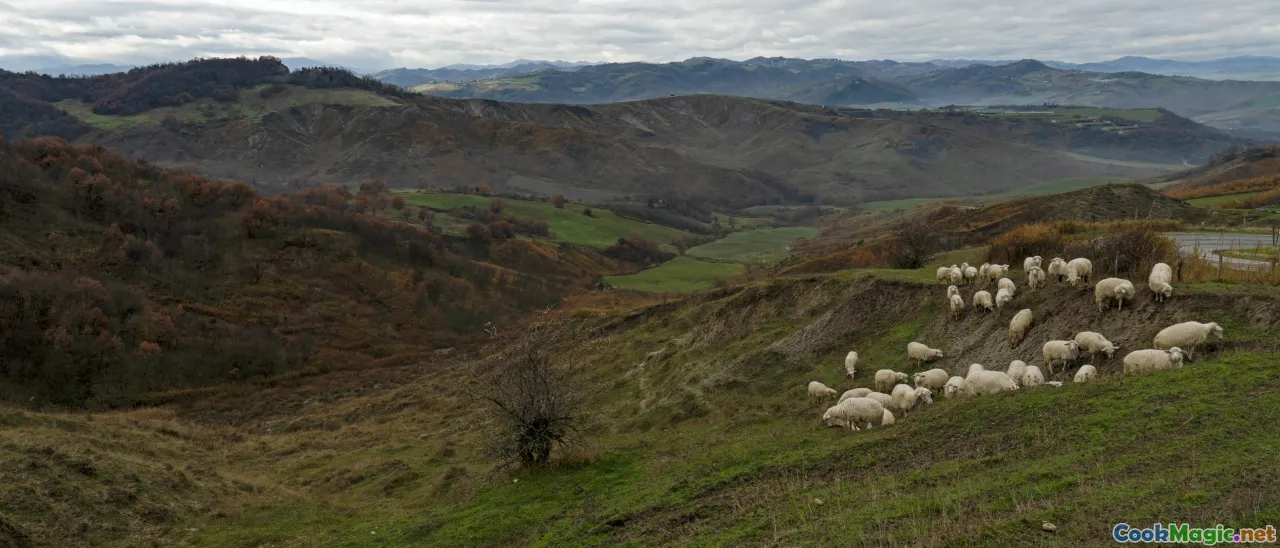 cattle pasture, sheep hills, Irish beef, lamb chops