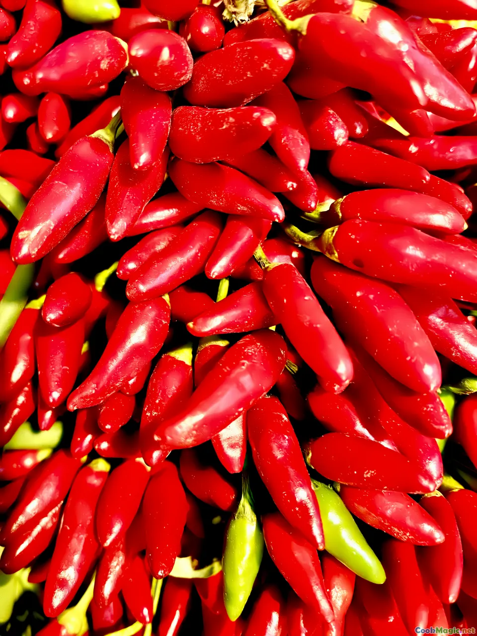 chili peppers, peppercorns, spice market
