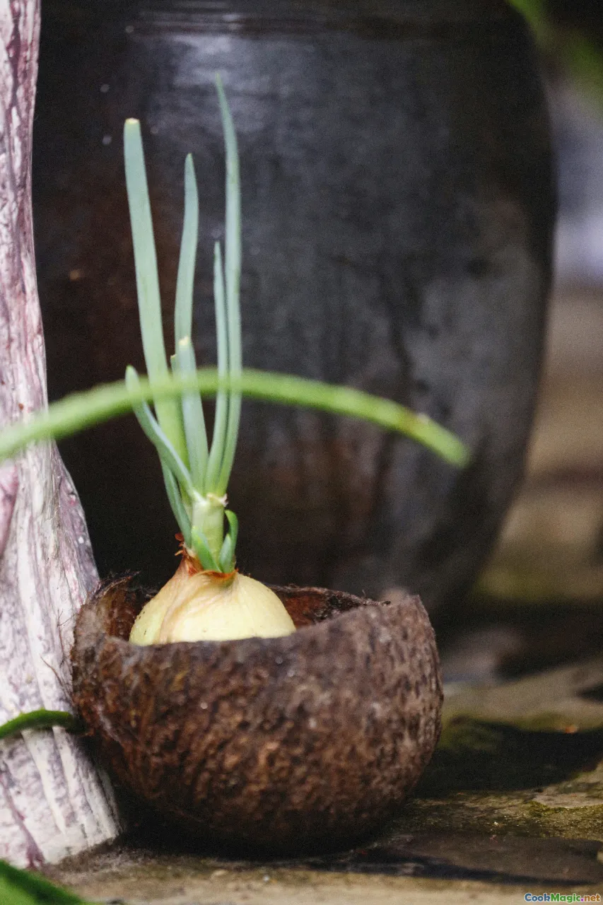 coconut milk, callaloo leaves, simmering pot, ladle