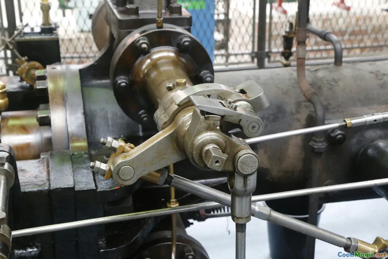 cold press machinery, oil extraction, fresh nuts, artisanal oil production, traditional pressing