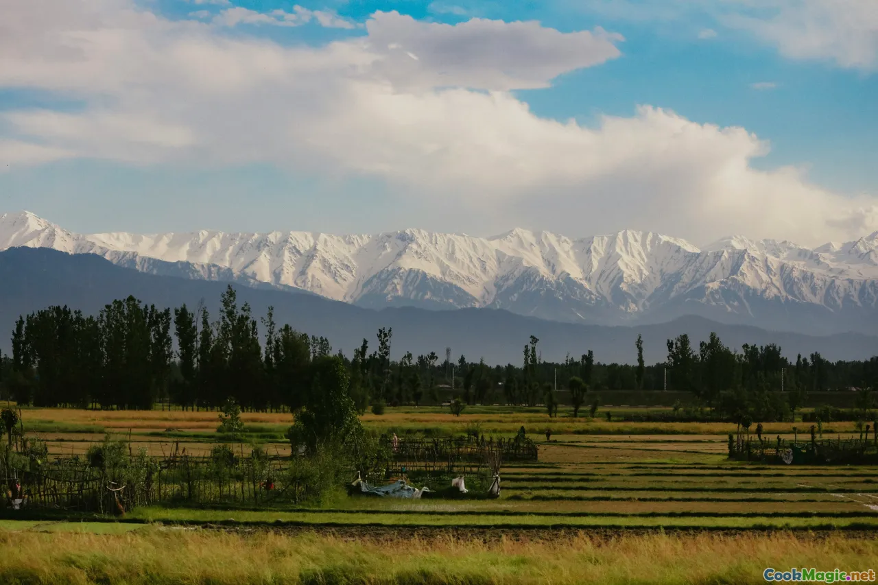 comparison, uzbek vs kyrgyz, regional