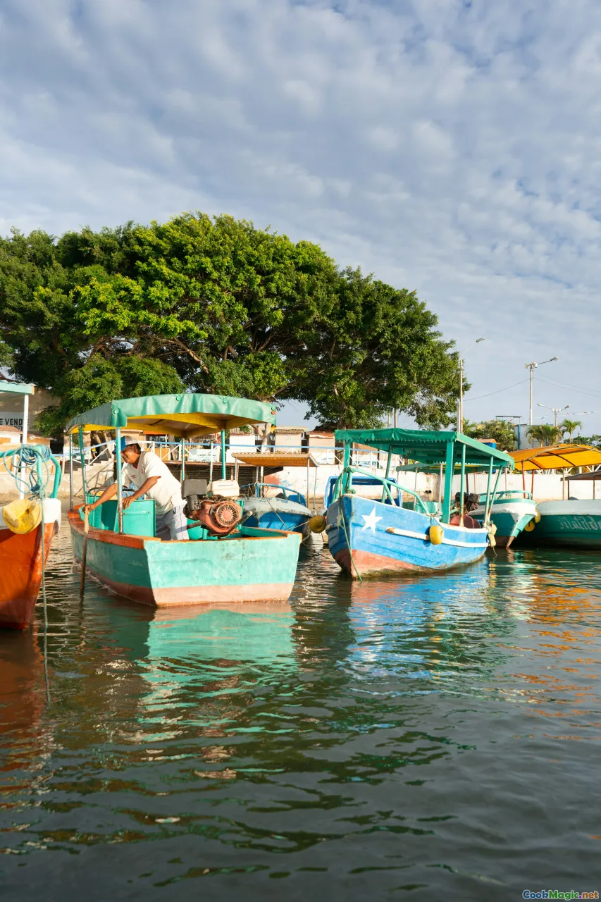 Cuban market, fishing boats, coastal village