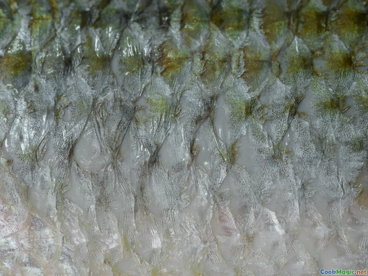 eel fillet, offal platter, snakehead fish, lemongrass