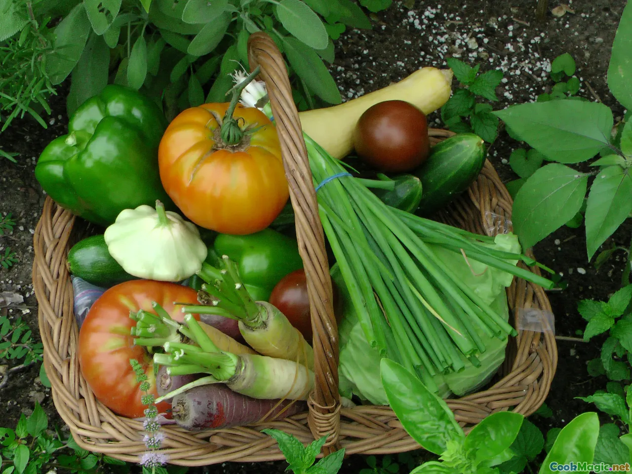 farm produce, seasonal vegetables, sustainable farming