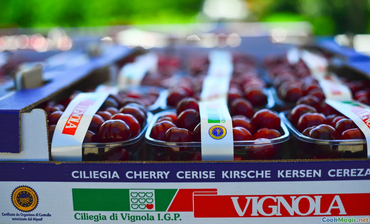farmers market, Morello cherries, jarred cherries, sour cream