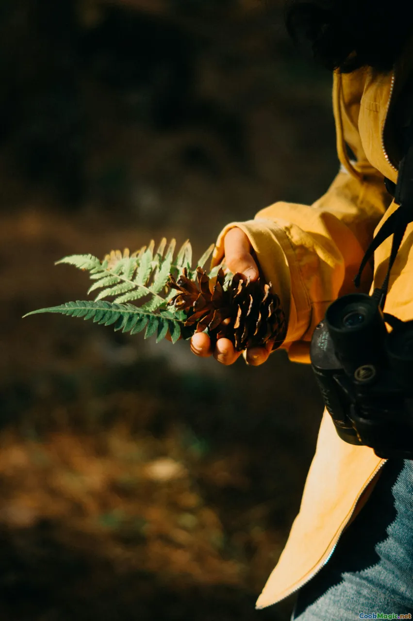 fern harvesting, traditional tools, Māori harvest, outdoor gathering