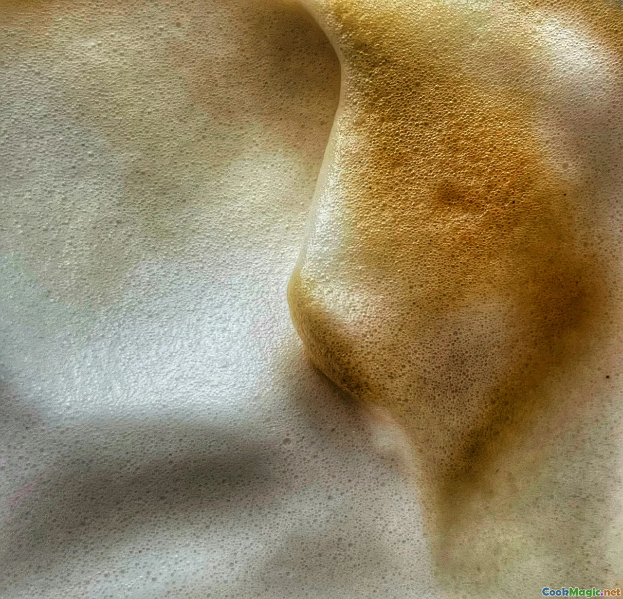 finished lechon, crispy skin close-up