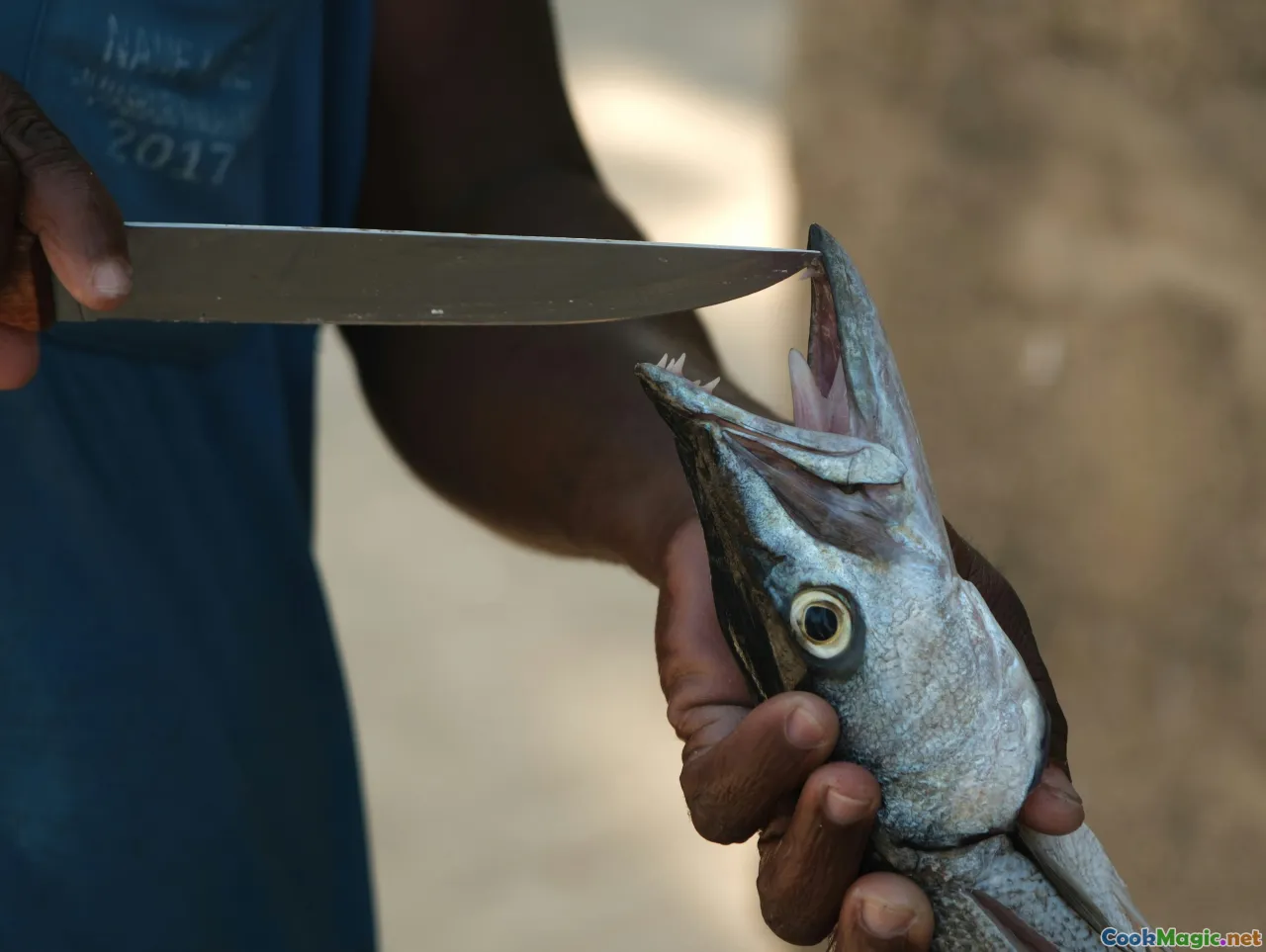 Fish Preservation Methods in Senegalese Cuisine