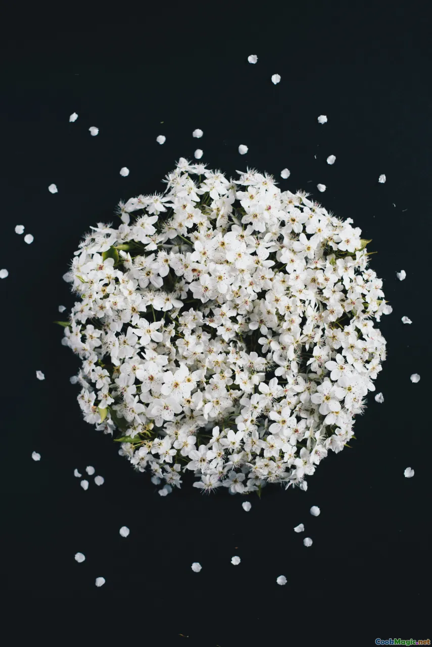 fragrant rice, Hainanese chicken rice, jasmine rice