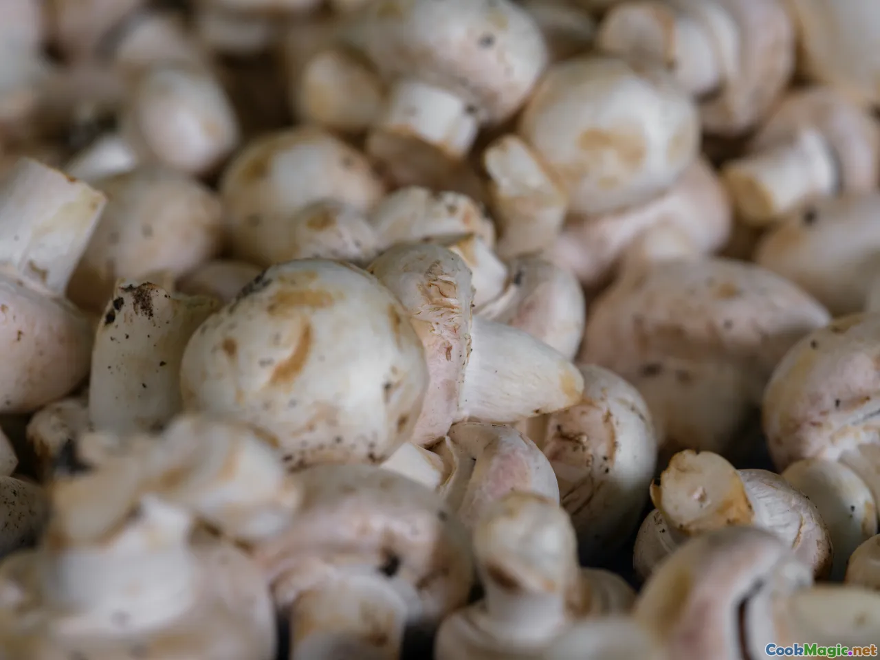 garlic, shallots, shrimp heads, sizzling