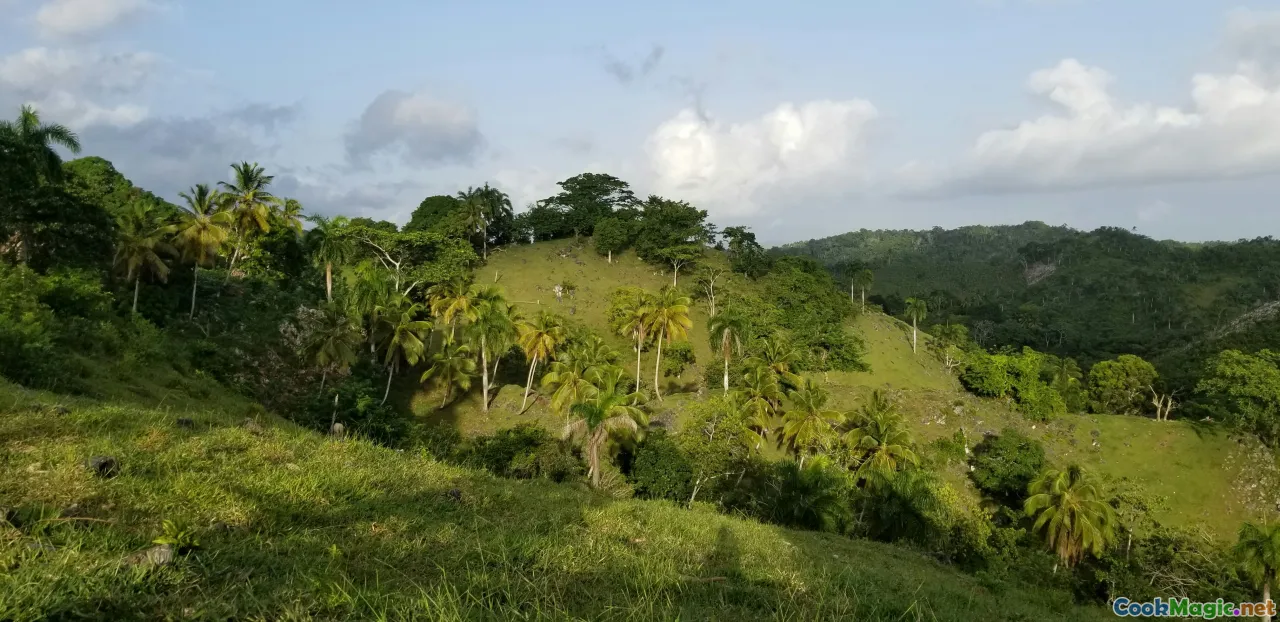 Grenadian climate, Caribbean weather, lush landscape, seasonal change, botanical richness