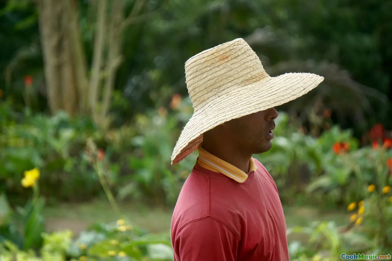 Haitian farmers, traditional farming