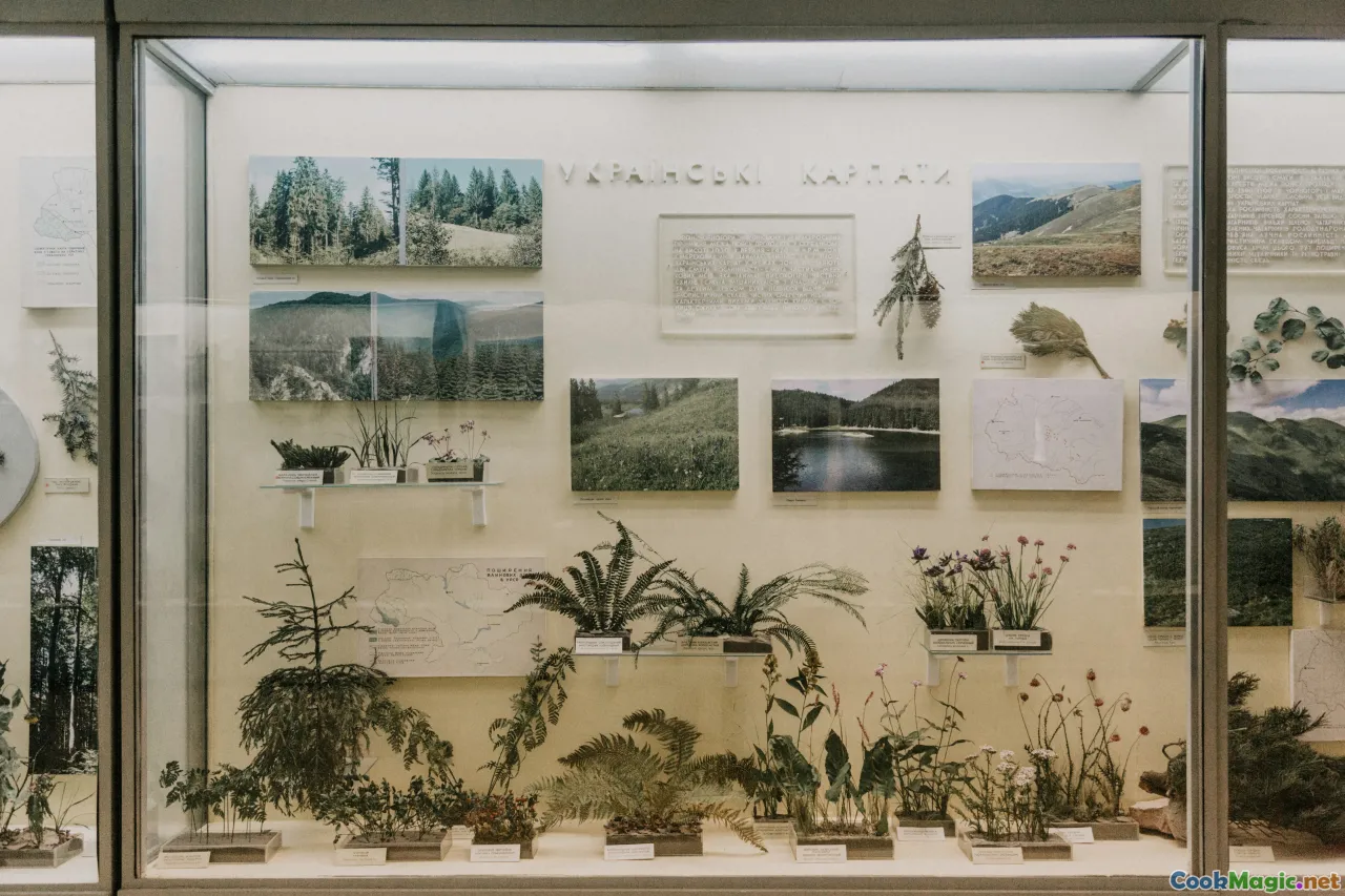 history, Apia, Chinese-Samoan, plantation era