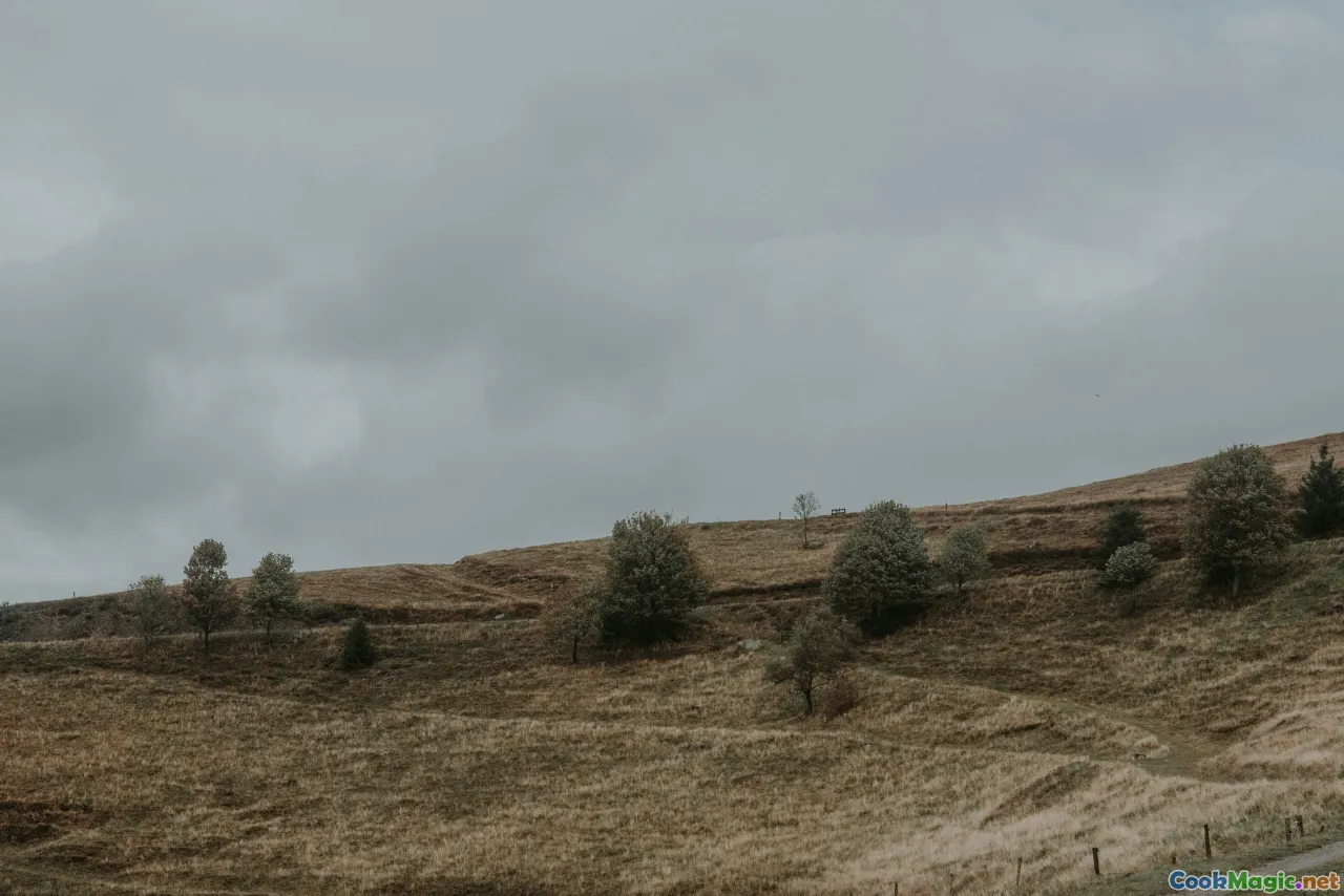 history, shepherds, Vlachs, tradition