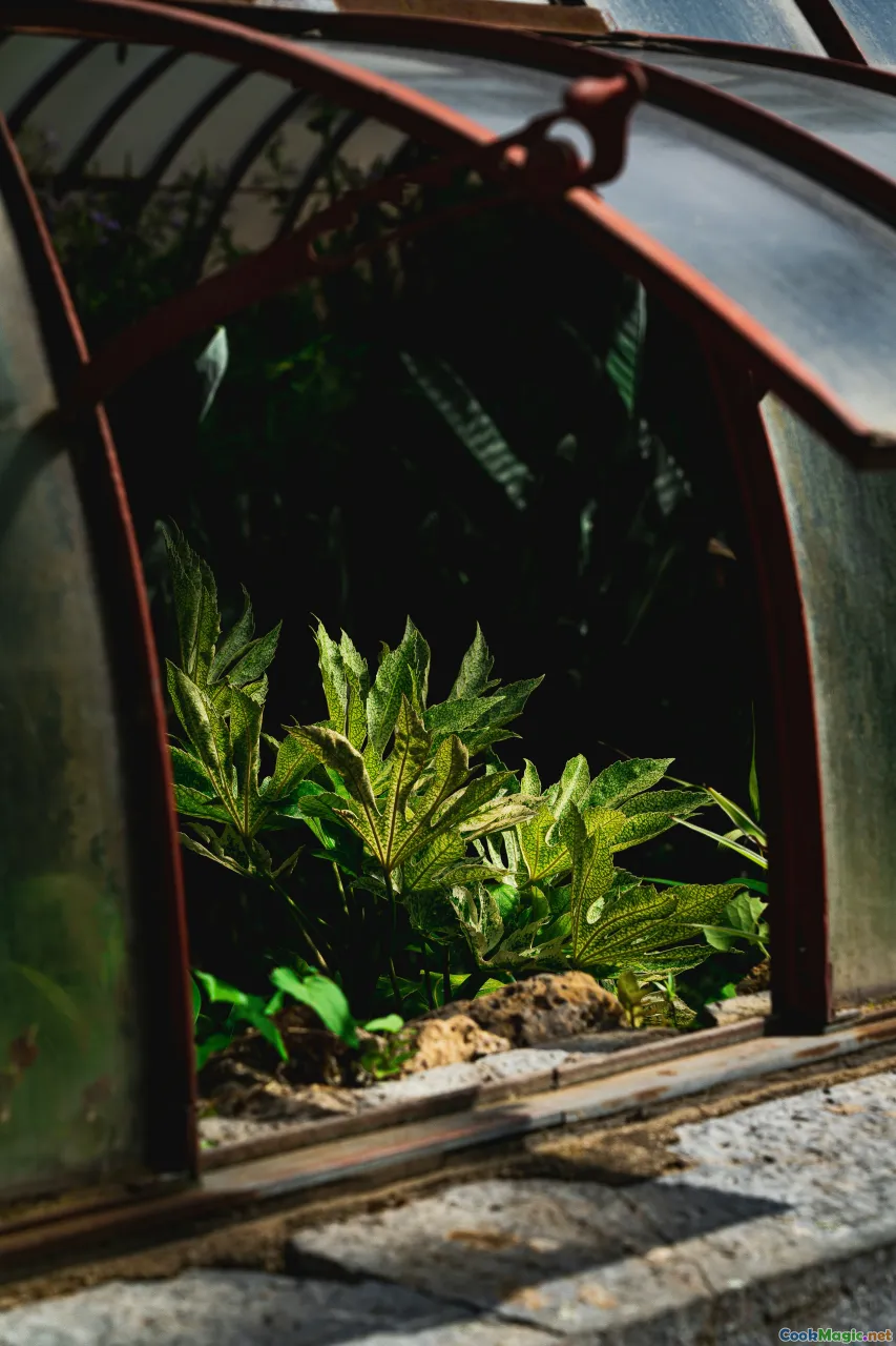 home gardening, composting, urban farming