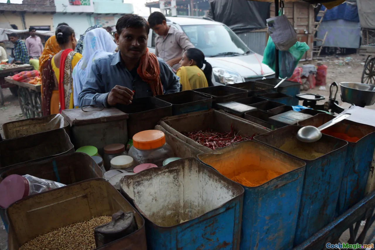 Indian street food, vegetarian chaat, dosas, street vendors India