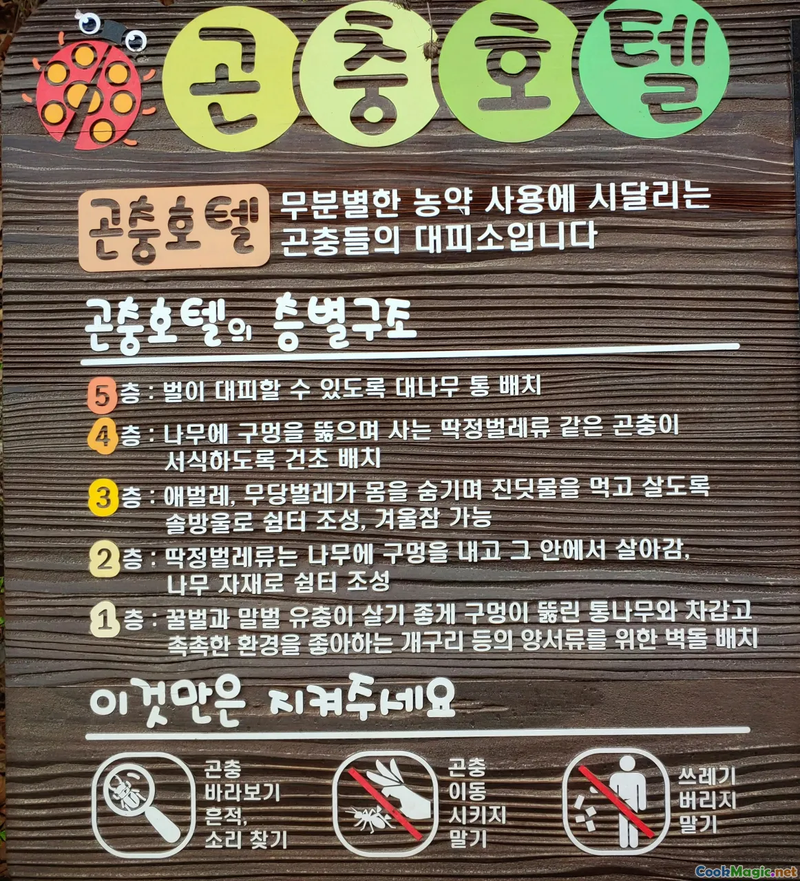 label reading, Korean grocery, ingredients, shopping tips