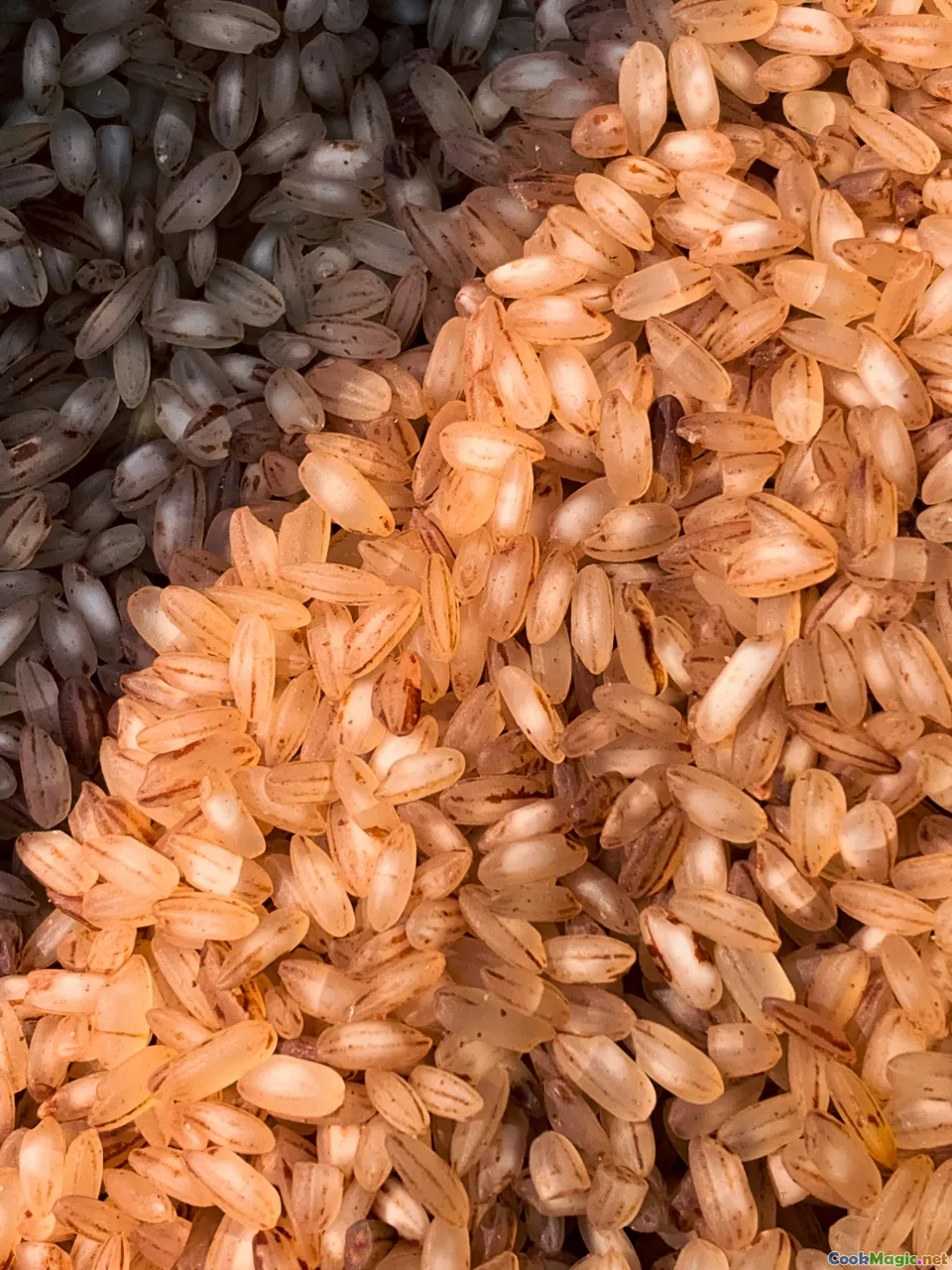Choosing the Right Rice for Locrio Recipes