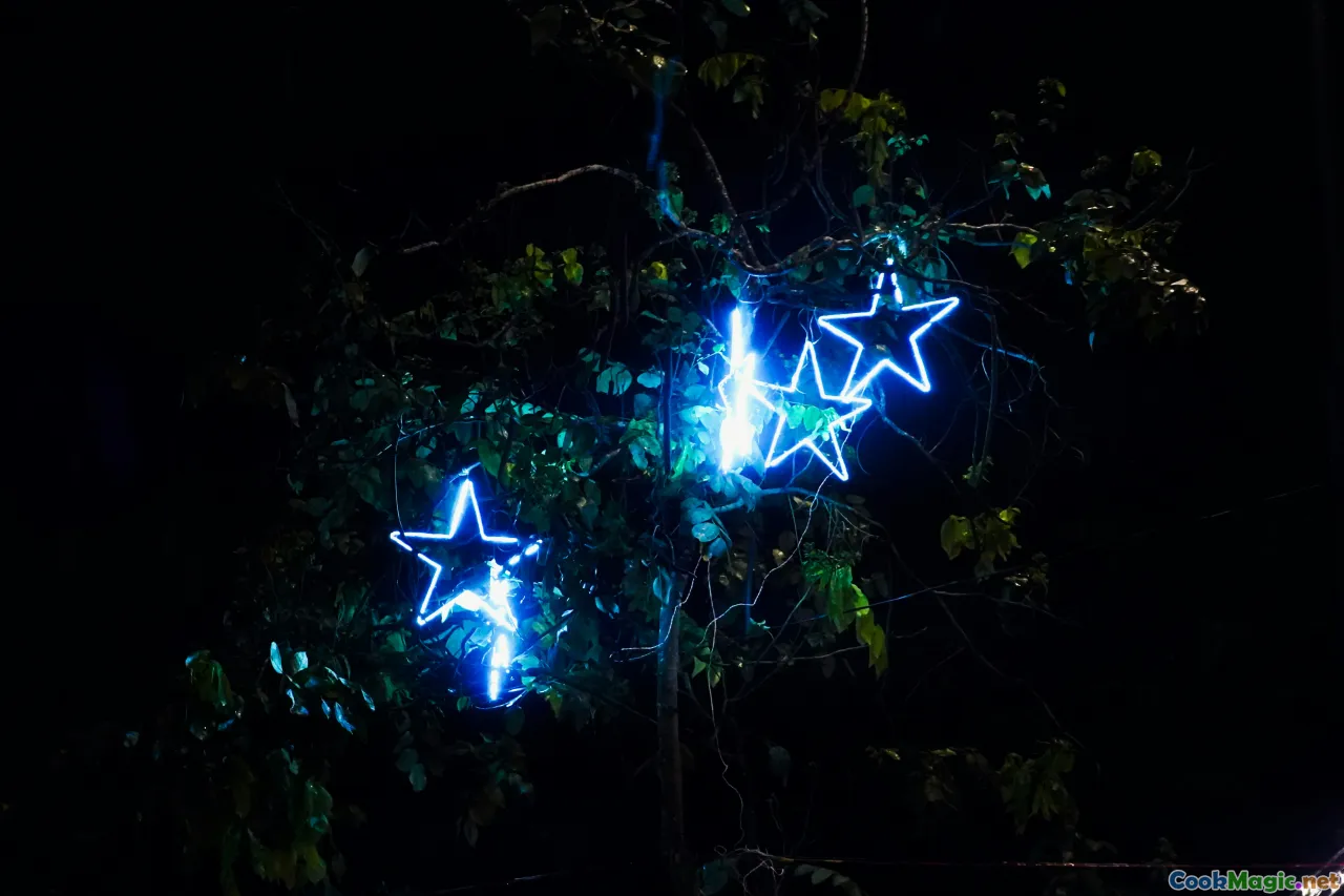 matariki, seasonal, stars, celebration