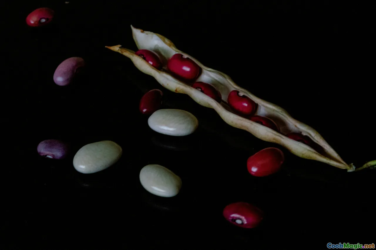 miso varieties, miso color spectrum, fermented beans