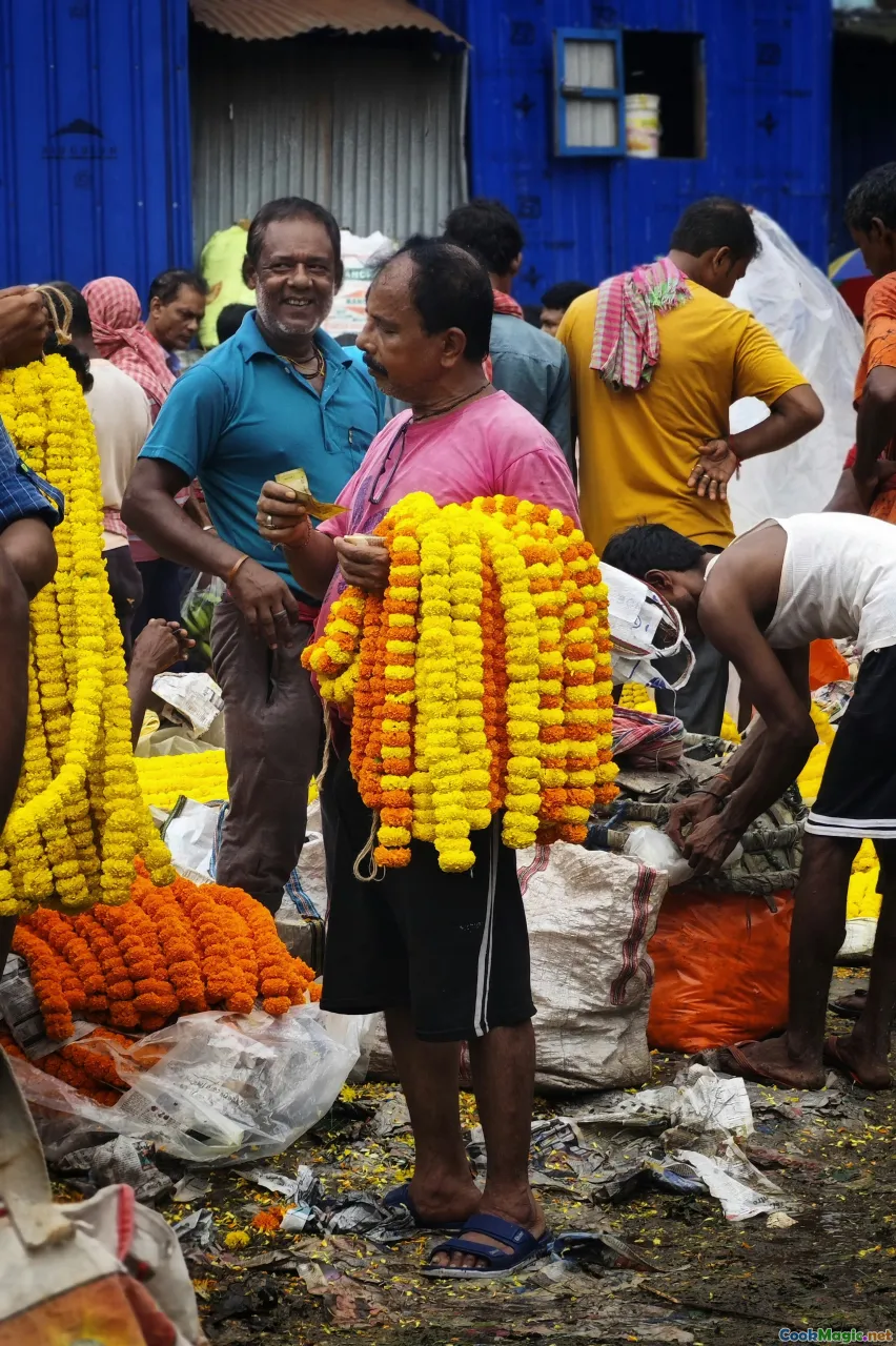 modern Indian corn dishes, farmers markets, food festivals