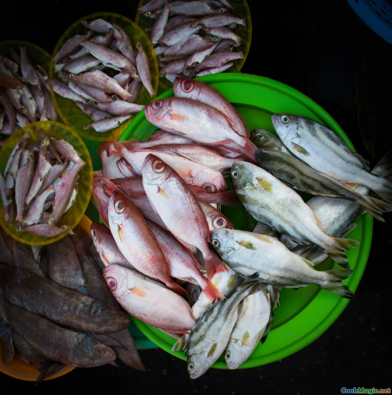 moki, deep-water seafood, winter harvest