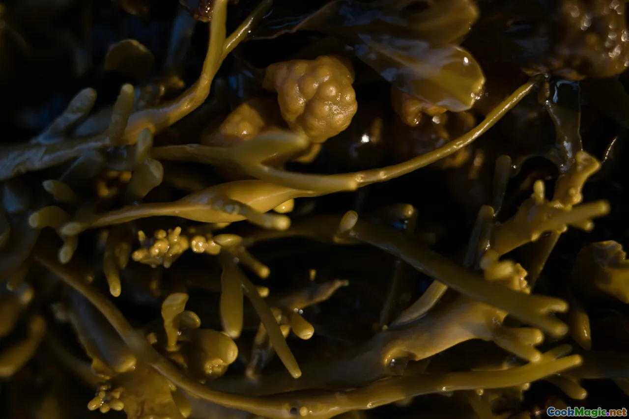 mushrooms, seaweed, leafy greens, culinary diversity