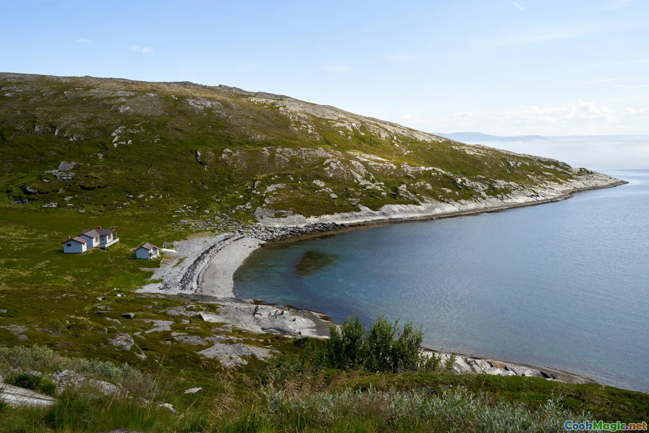 Norwegian fjord, shellfish, coastal landscape