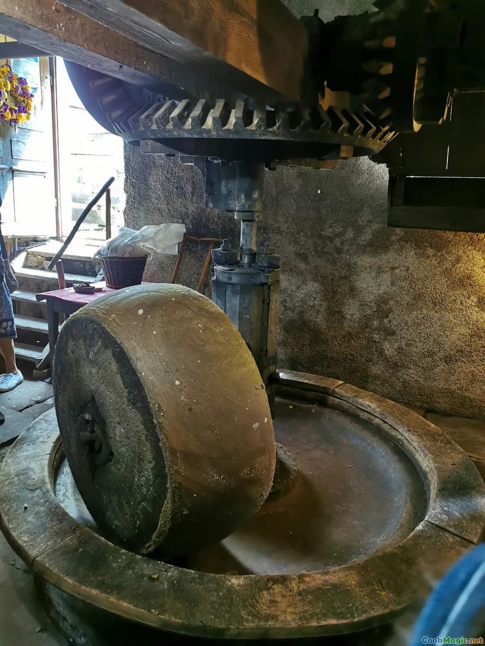 olive oil extraction, stone mill, modern olive press