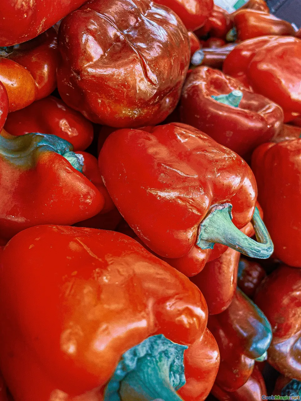 red pepper paste, Évora street, pork and clams, terracotta