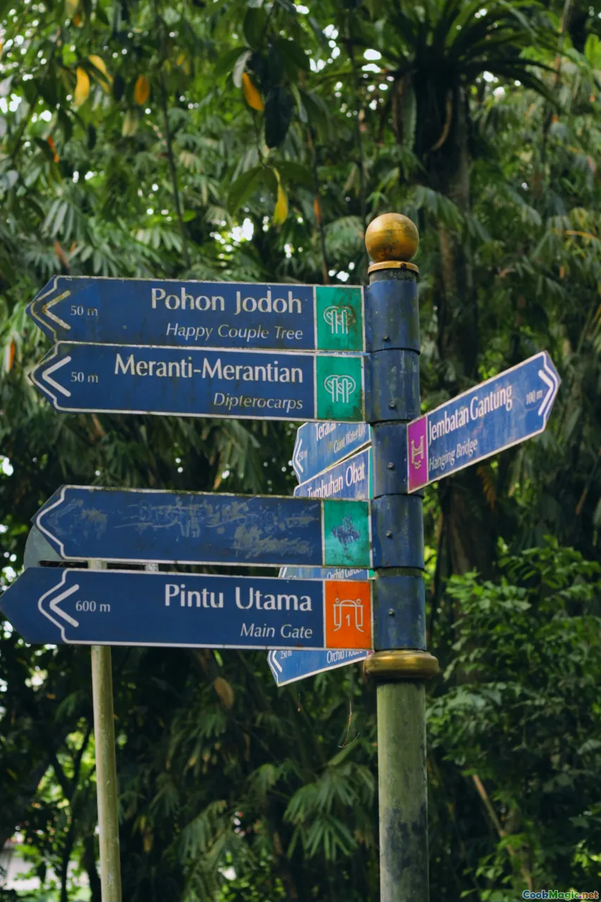 road map, itinerary, signposts, travel