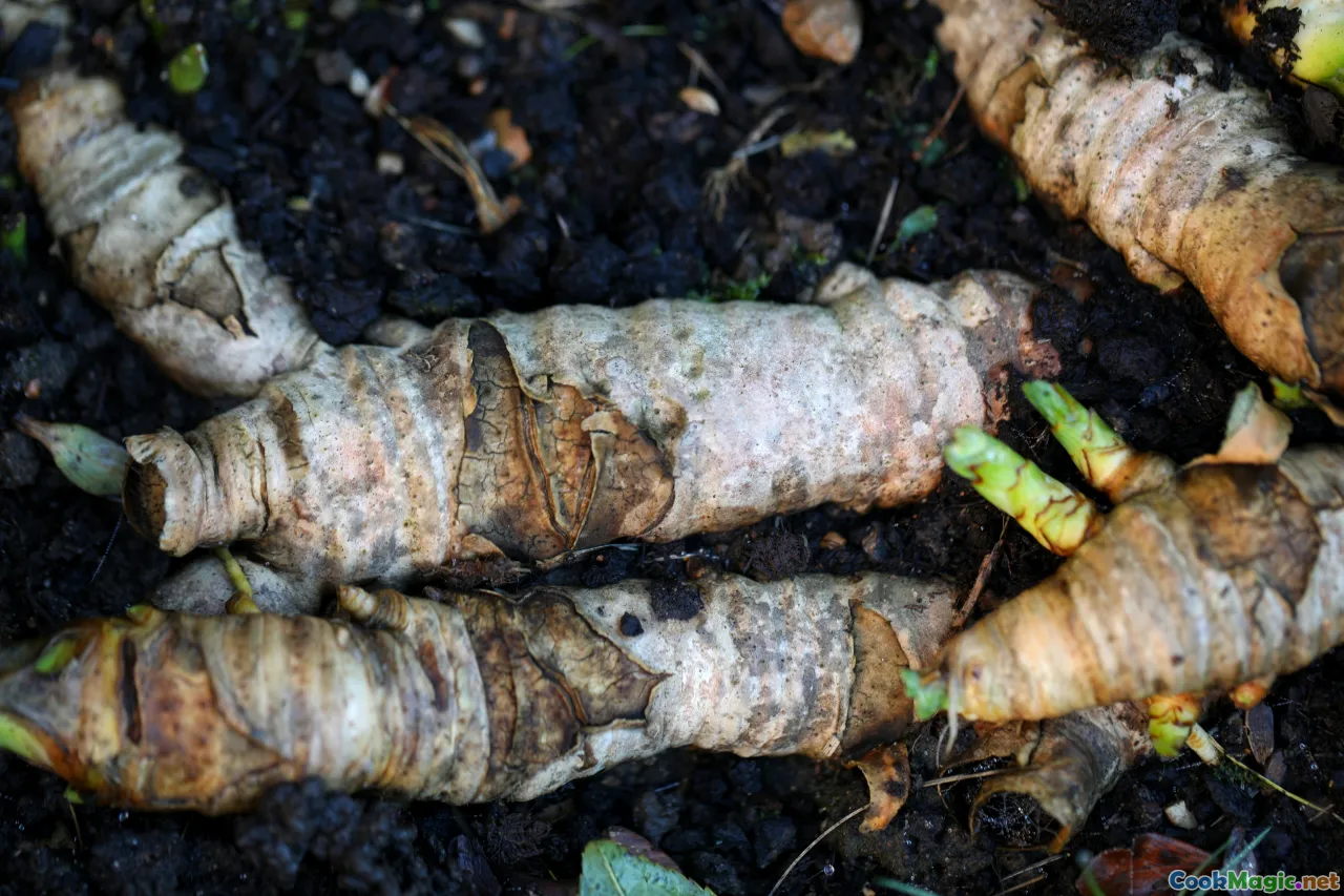 root vegetables, winter produce, Danish cuisine, earthy textures