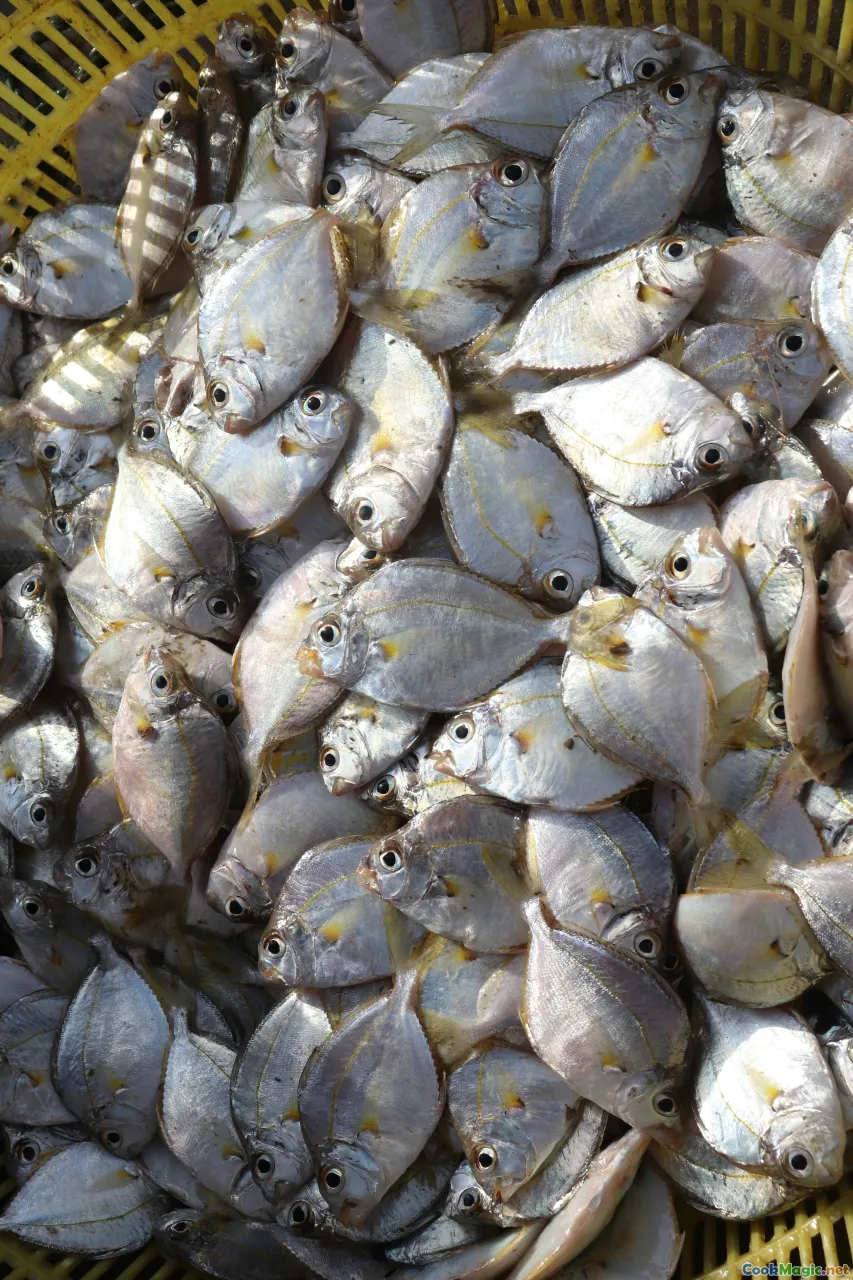 salt mackerel, crab claws, conch, fresh mackerel fillets