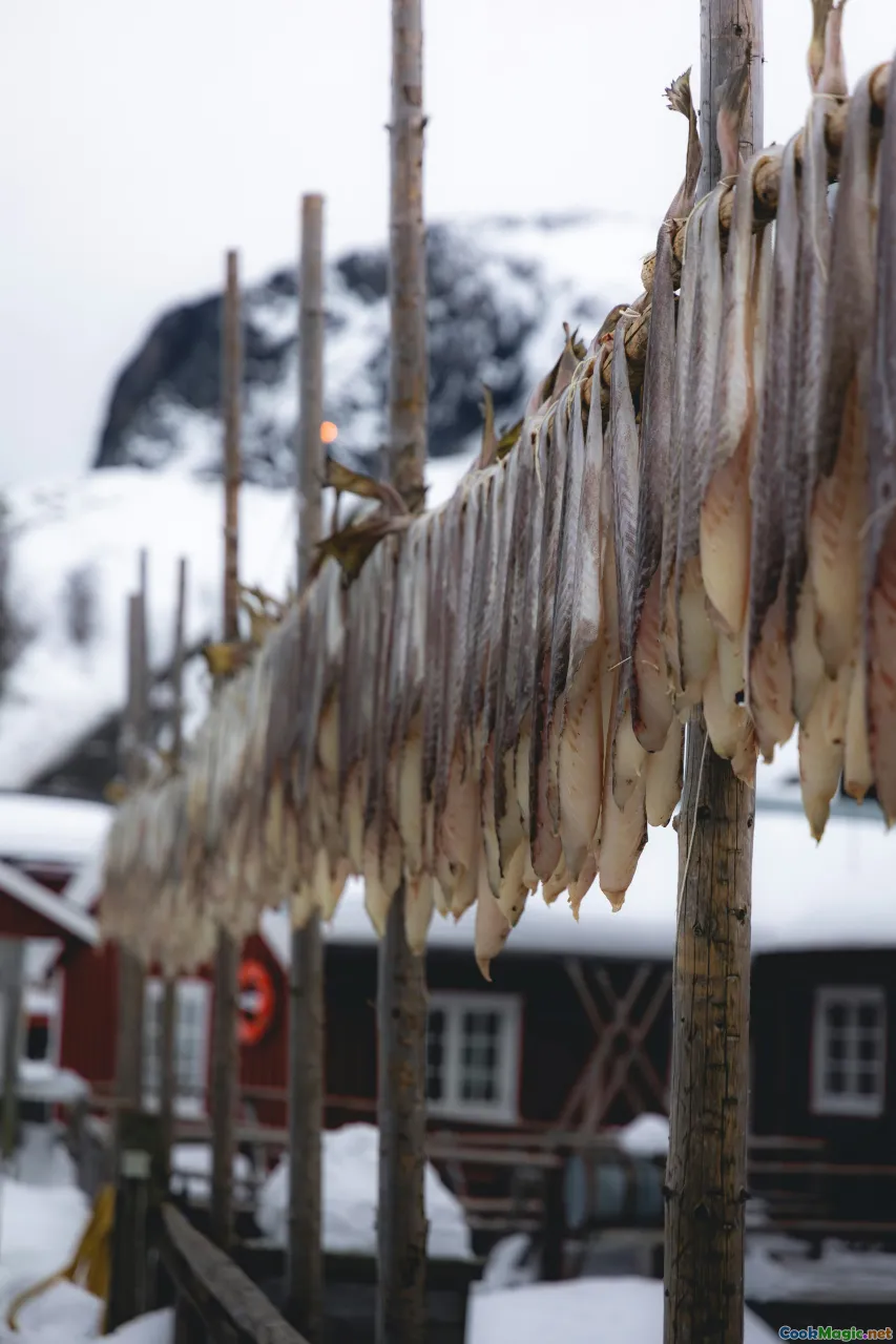 Scandinavian salmon, Norwegian tradition, preserved fish, Nordic culture