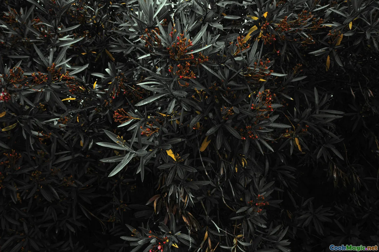 seasoning pepper, black pineapple, sorrel, fresh herbs