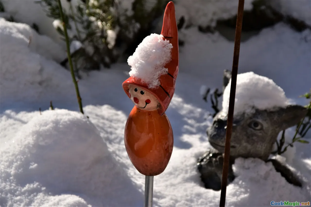 seasons, lamb, carrots, snow