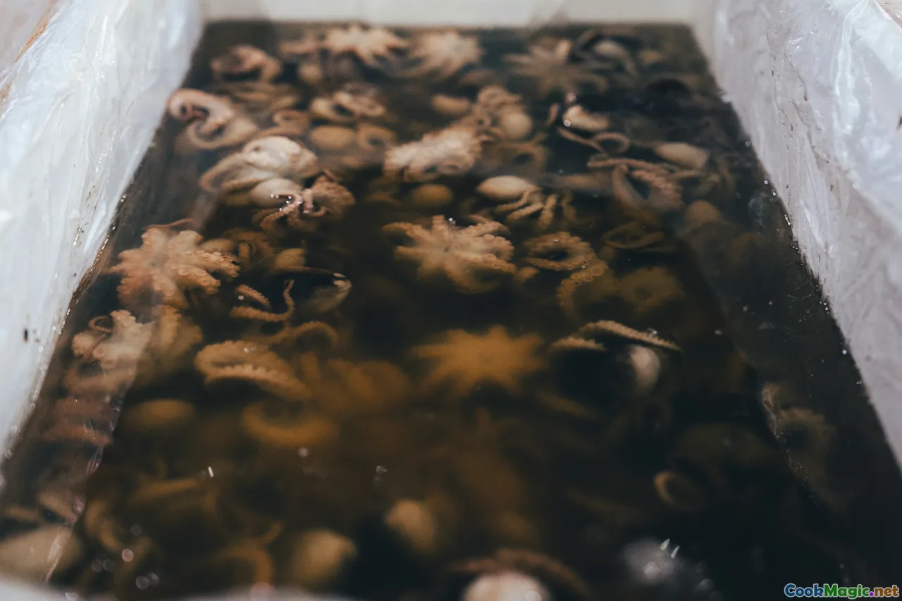 seaweed, mushrooms, fermentation