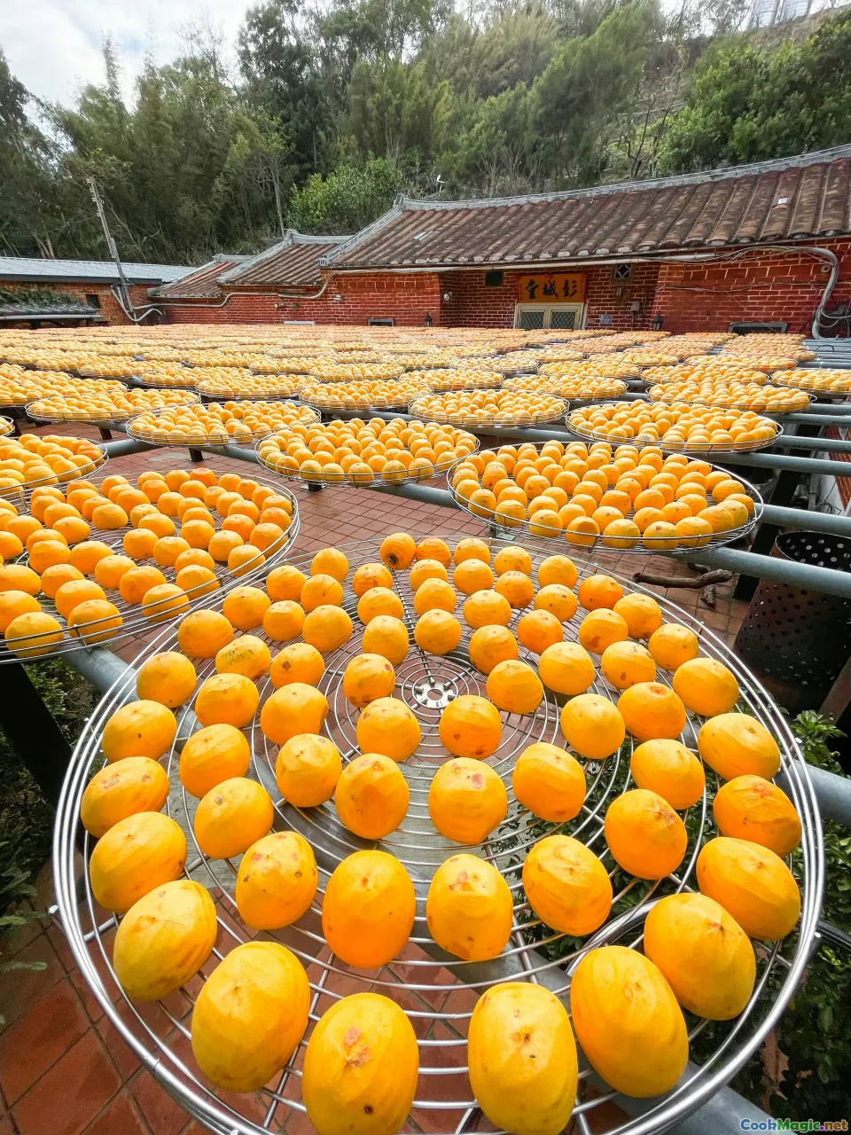 selecting persimmons, ripe persimmon, Uzbek market, kitchen prep