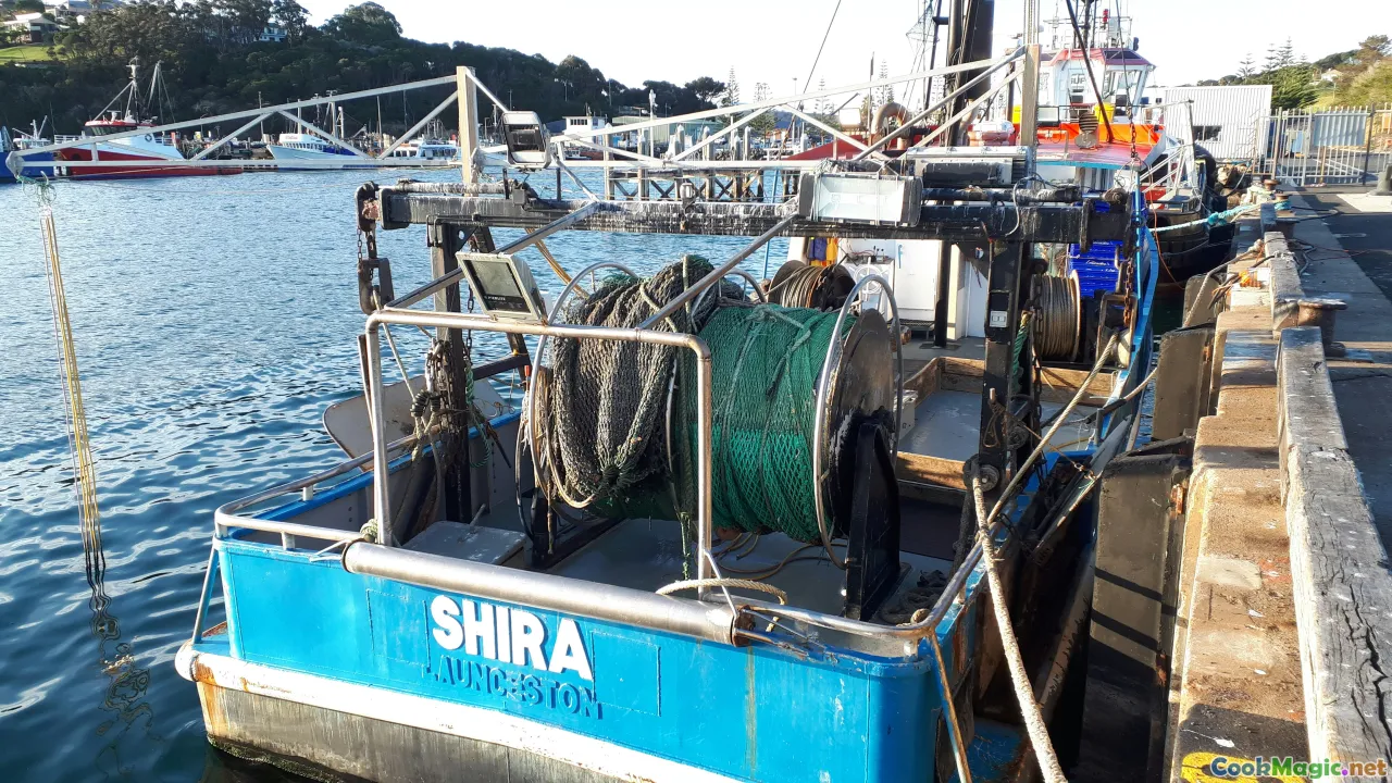 shrimp boats, dock, local sourcing, sustainability