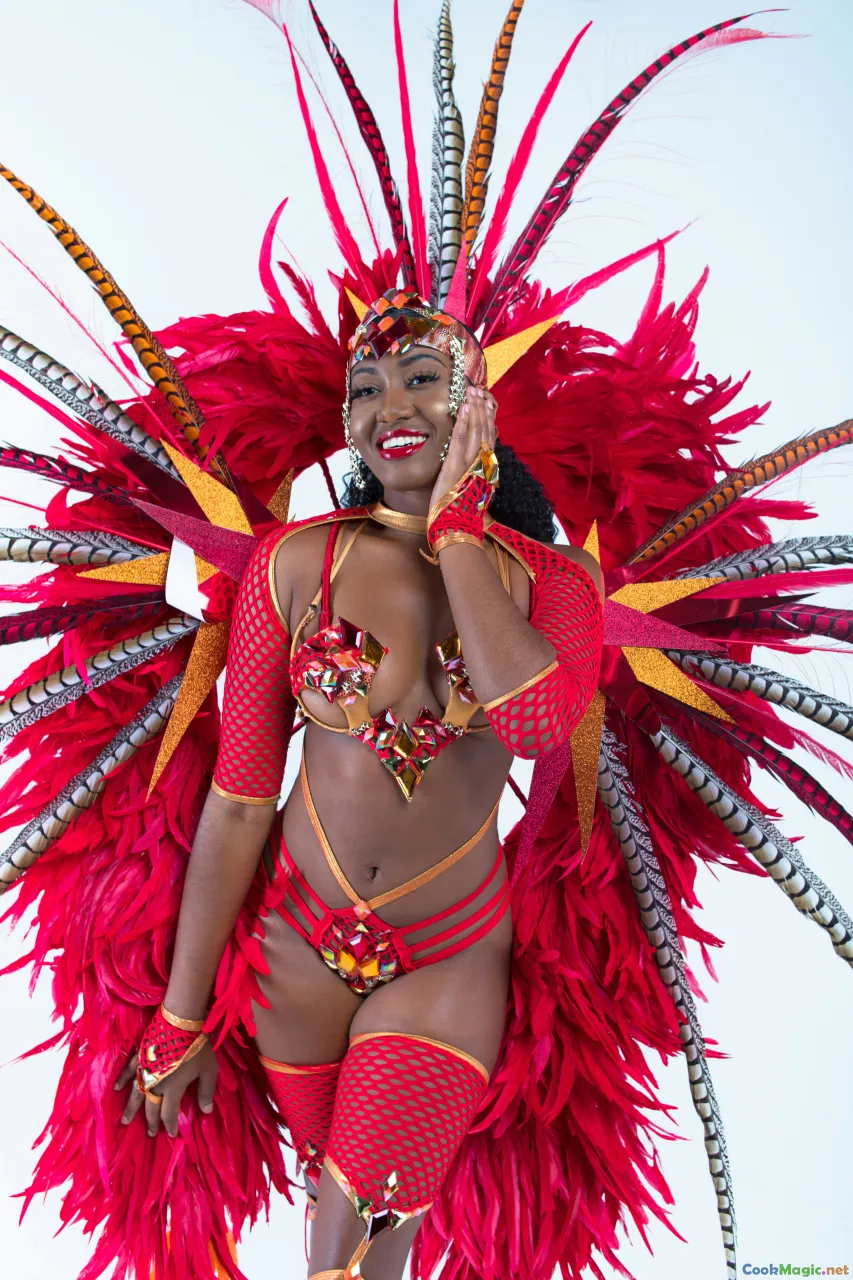 soca, steelpan, Trinidad, Carnival