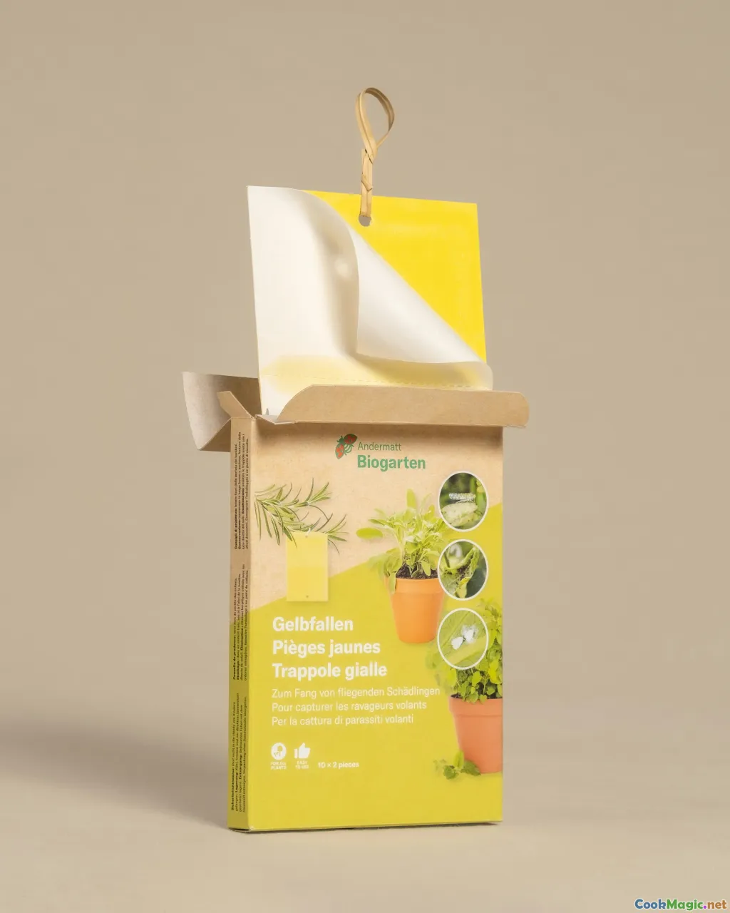 sustainability, eco-friendly packaging, plant-based packaging, food waste reduction