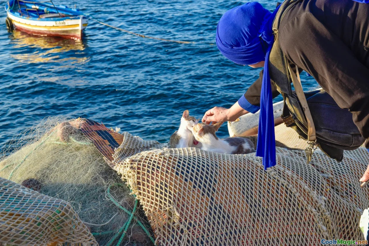 sustainability, seafood conservation, eco-friendly fishing