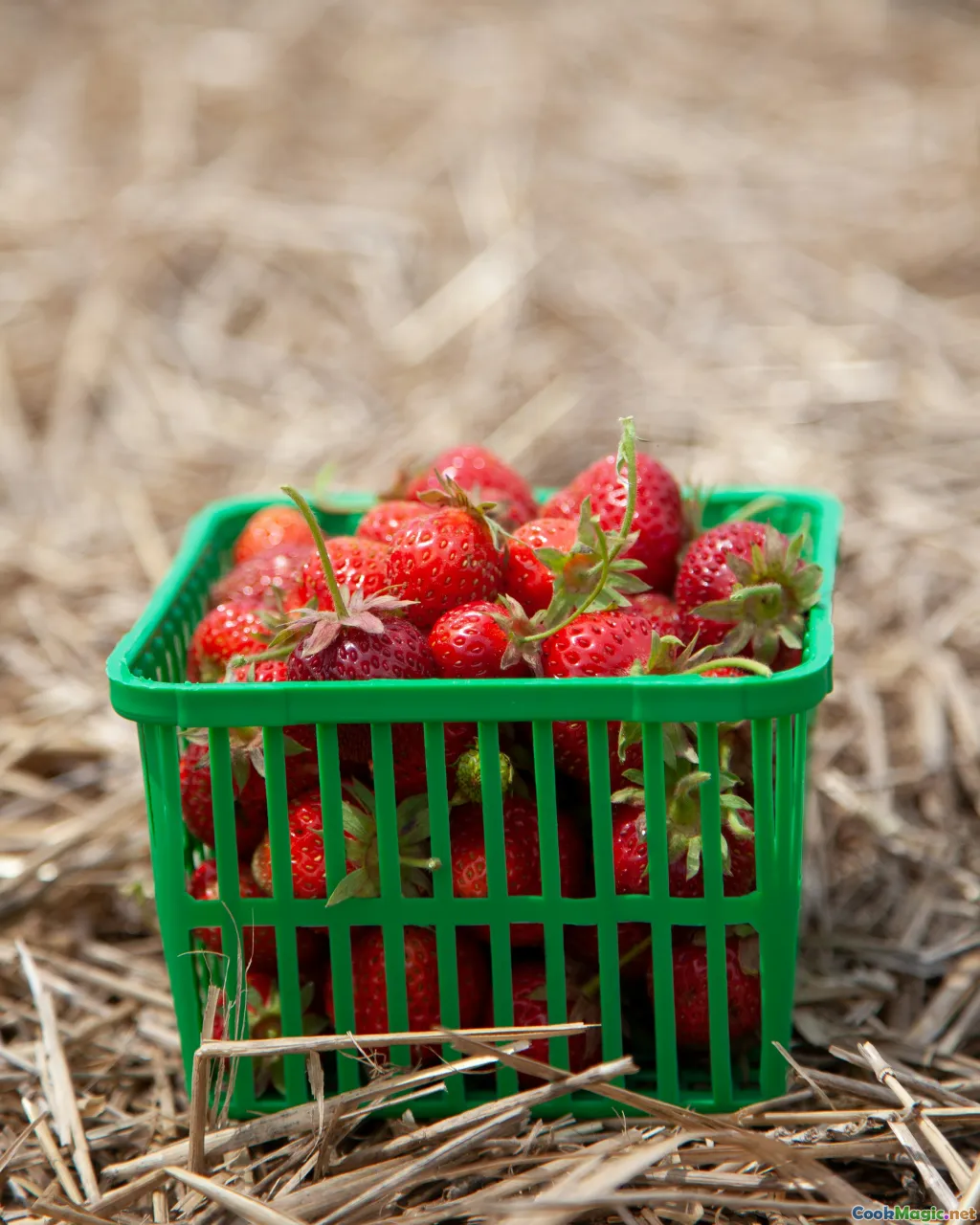 sustainability, seasons, smallfarm, basket